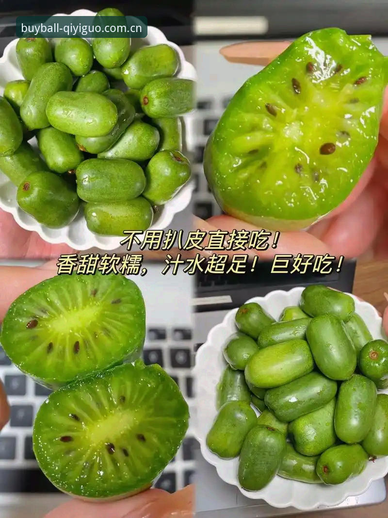奇异果体育最新版 vs 旧版：哪个更适合你的使用习惯？